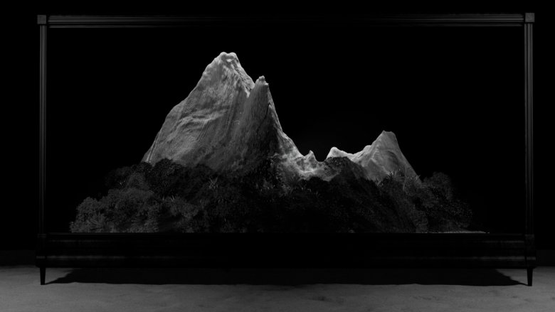 Inertia
