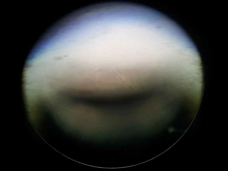 Sula 03